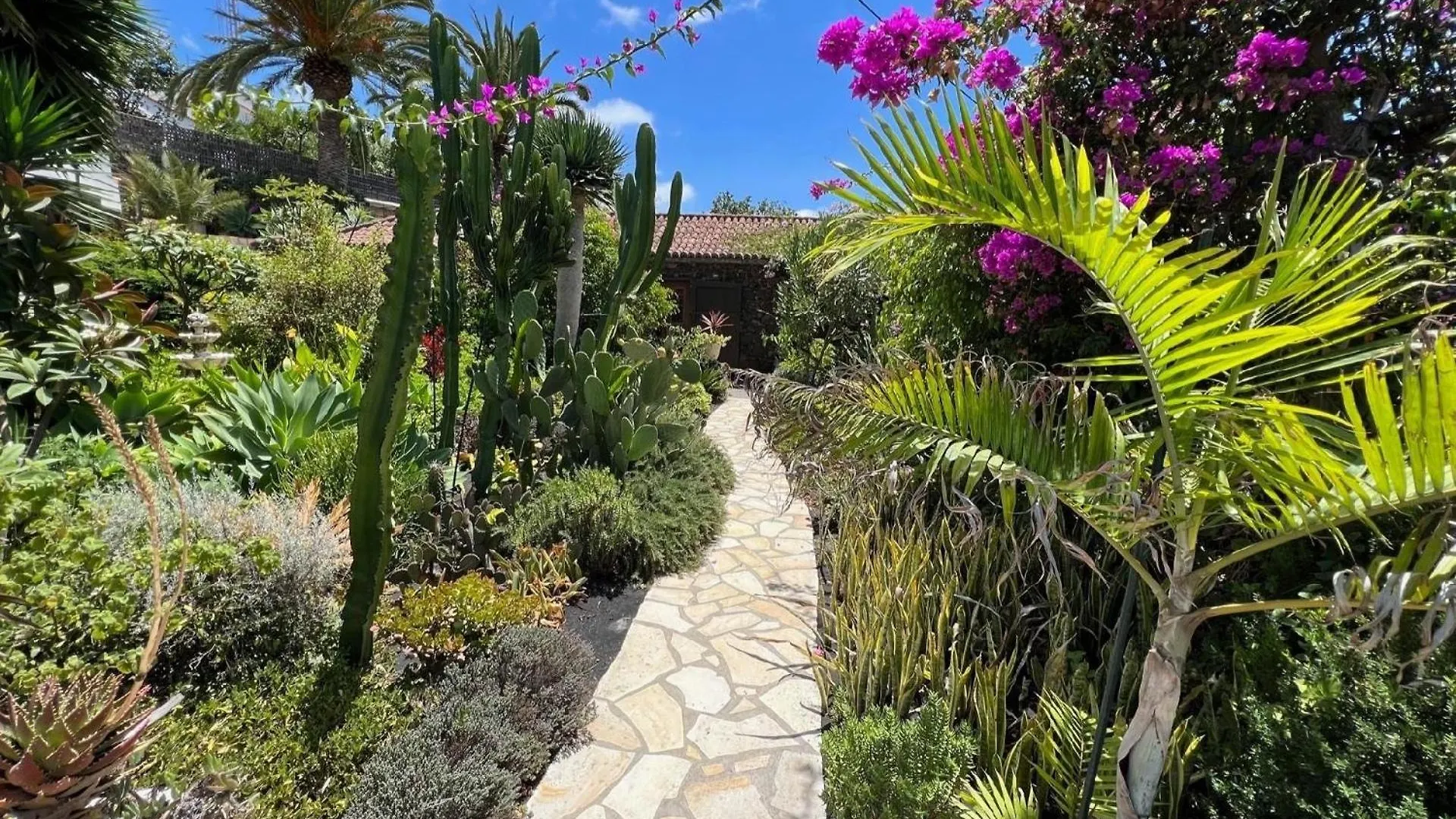 Casa Jardin Tropical Villa Los Llanos De Aridane Holiday home